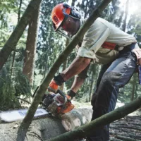 Tronçonneuse HUSQVARNA 562 XP - Professionnelle – Image 2