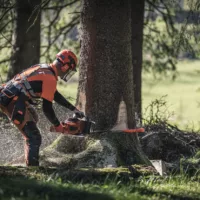 Tronçonneuse HUSQVARNA 572 XP 50SN - Professionnelle – Image 4